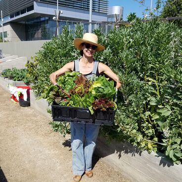 Woman holding a crate full of greens in a garden and wearing a hat