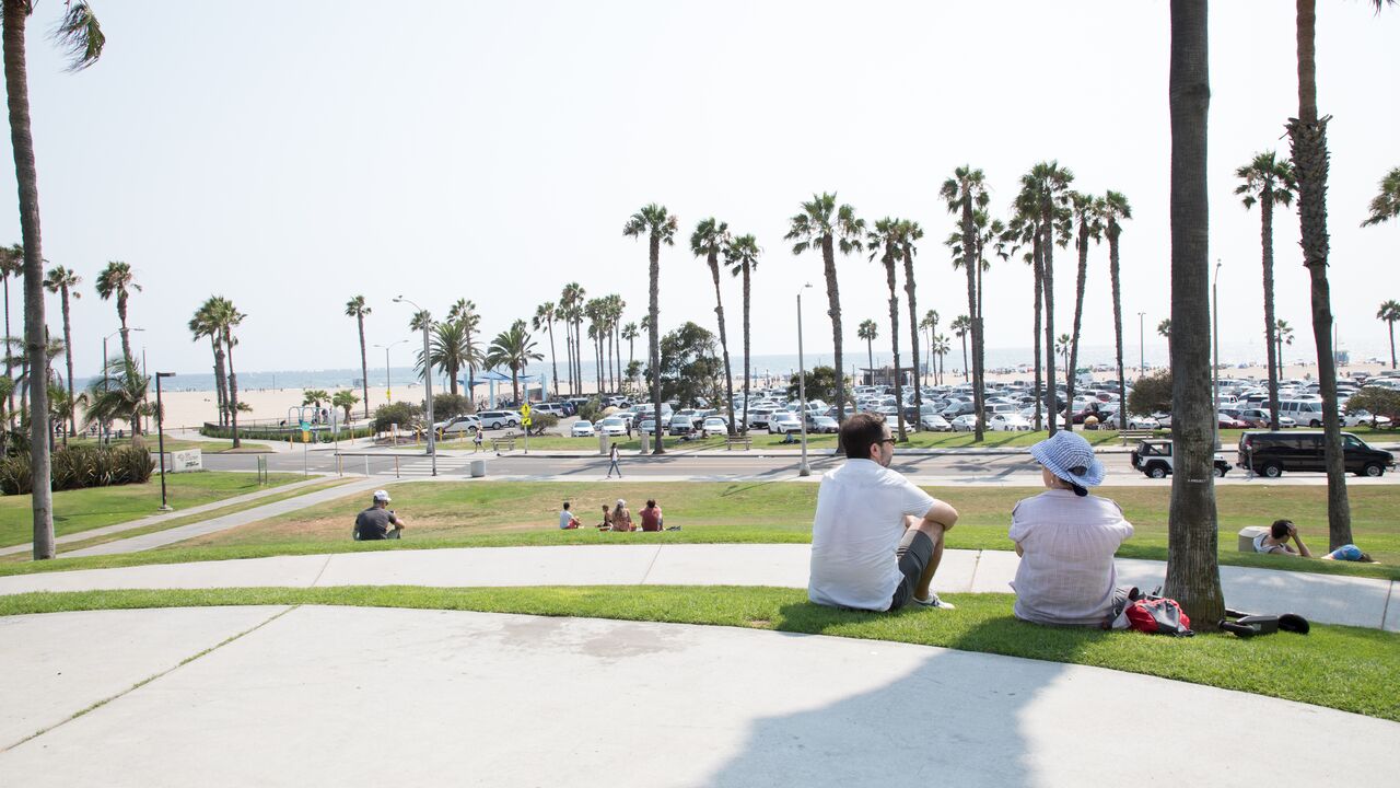 People Sitting on The Grass Overlooking Palm Trees and the Beach at Ocean View Park