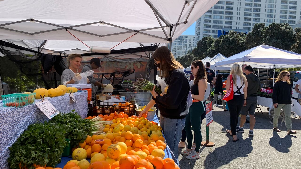 People shopping at main street farmers market