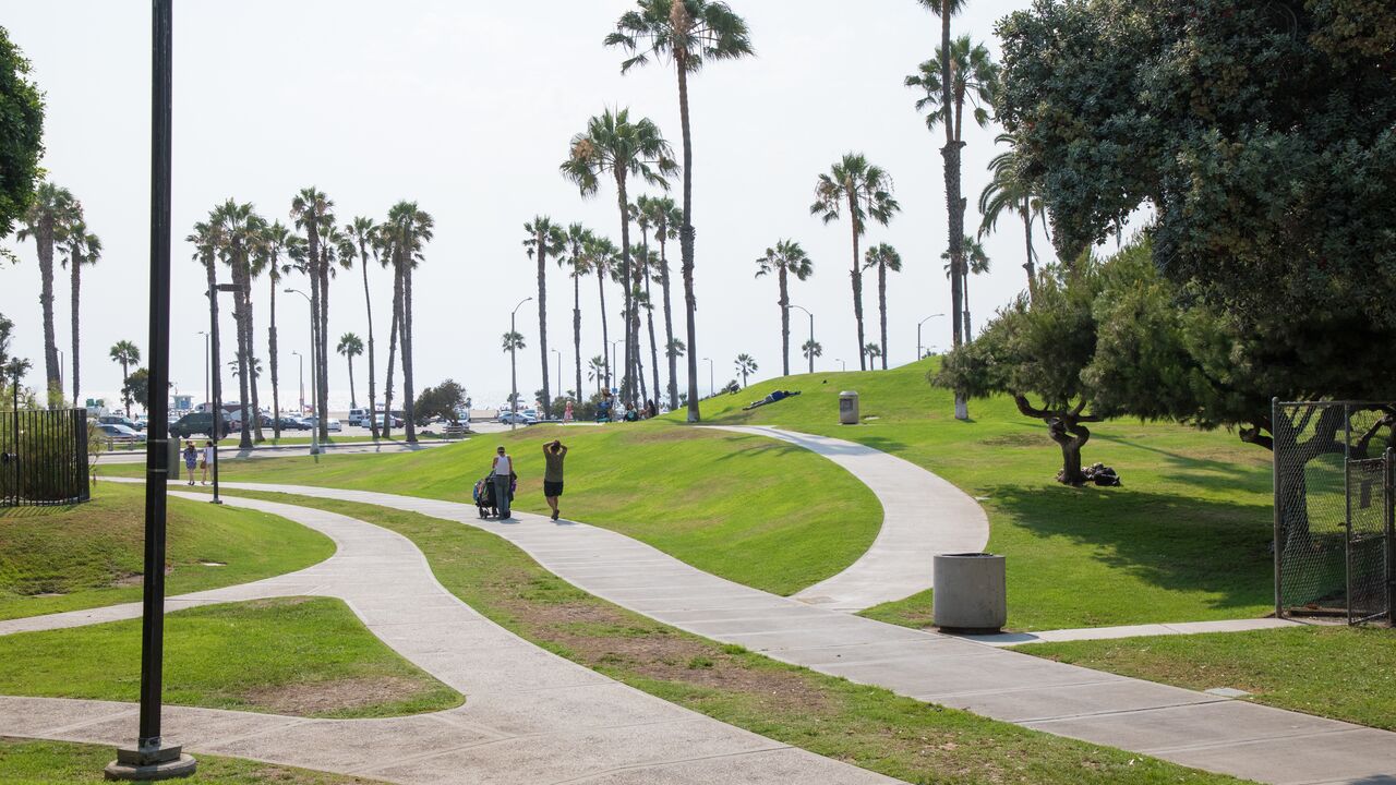 People Walking Along a Path Running With Palm Trees in the Backgroun at Ocean View Park