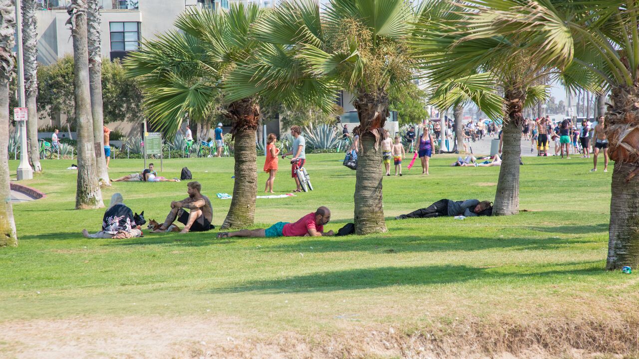 People Laying Under Palm Trees in South Beach Park