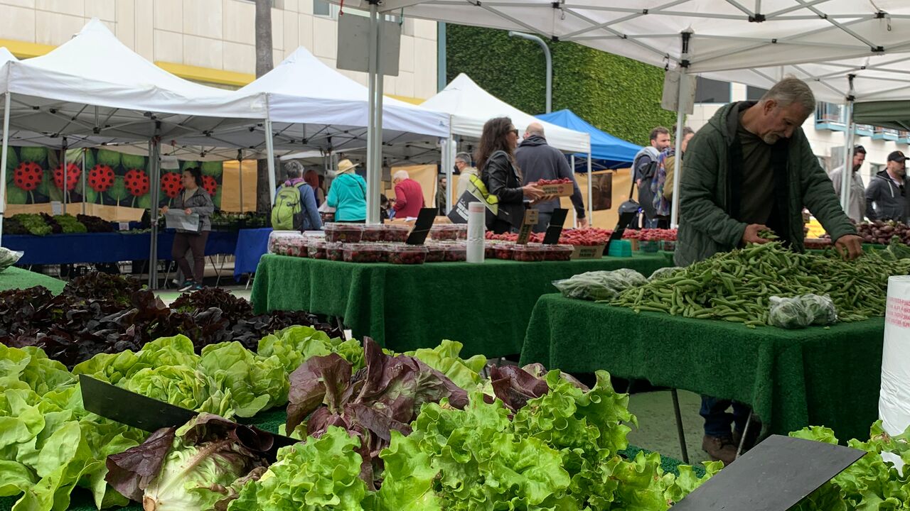 Lettuce Vendor at Wednesday Farmers Market