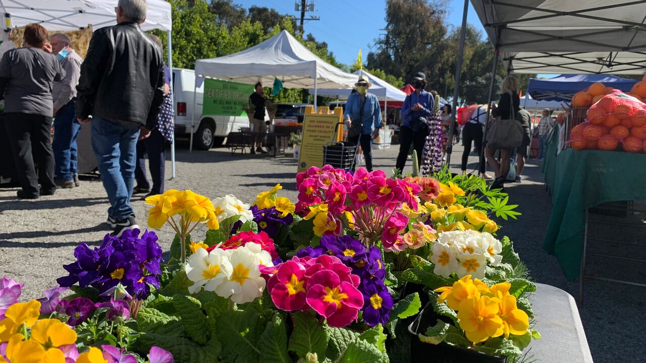 Flowers and Main Street Farmers Market