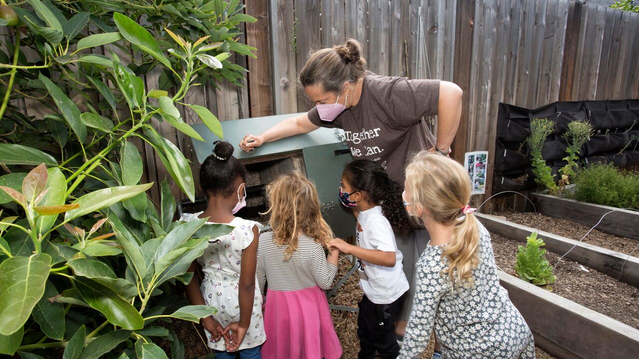 Group of Children and Teacher Looking at Composting Bin at Untitled No. 1 Preschool