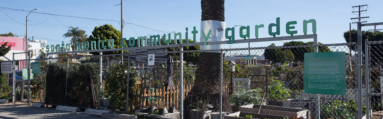 community garden plot design