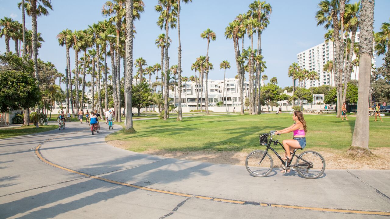 People Riding Bikes on the Beach Bike Path Surround by Palm Trees